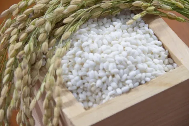 アグリイナシキの特別栽培米 3
