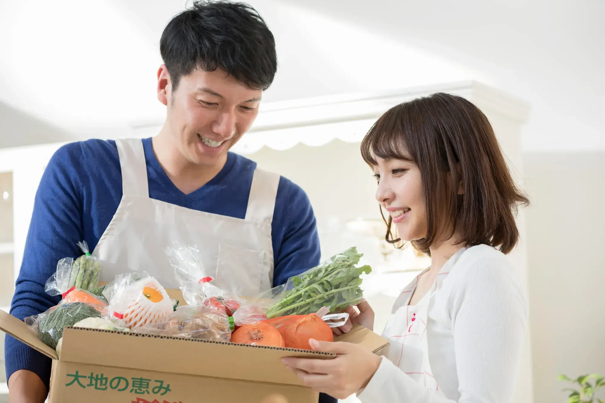 アグリイナシキのふるさと納税返礼品のお米